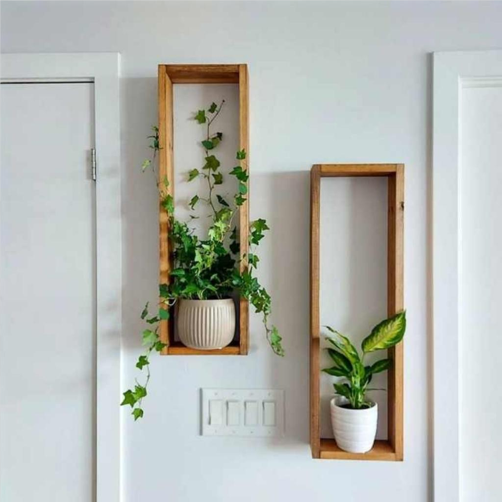 Wooden Box Shelves for Plants