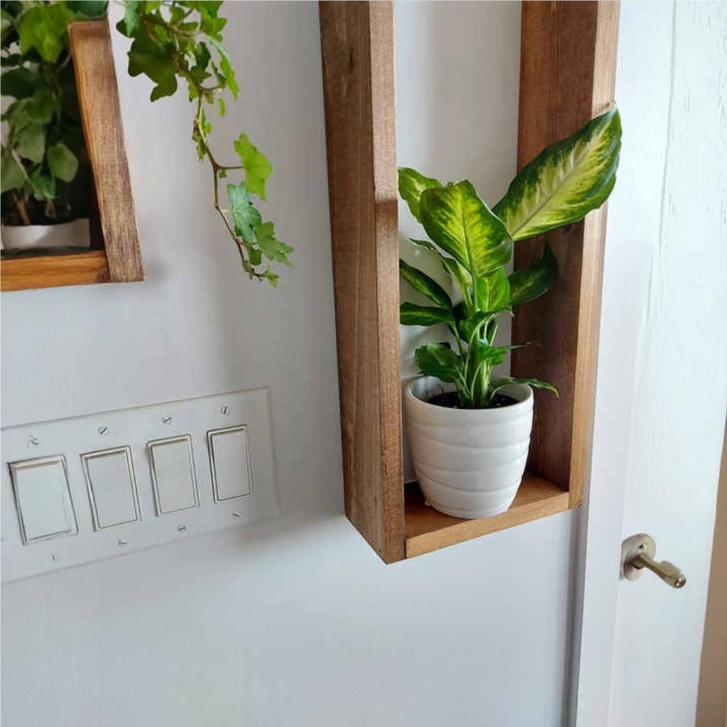 Wooden Box Shelves for Plants
