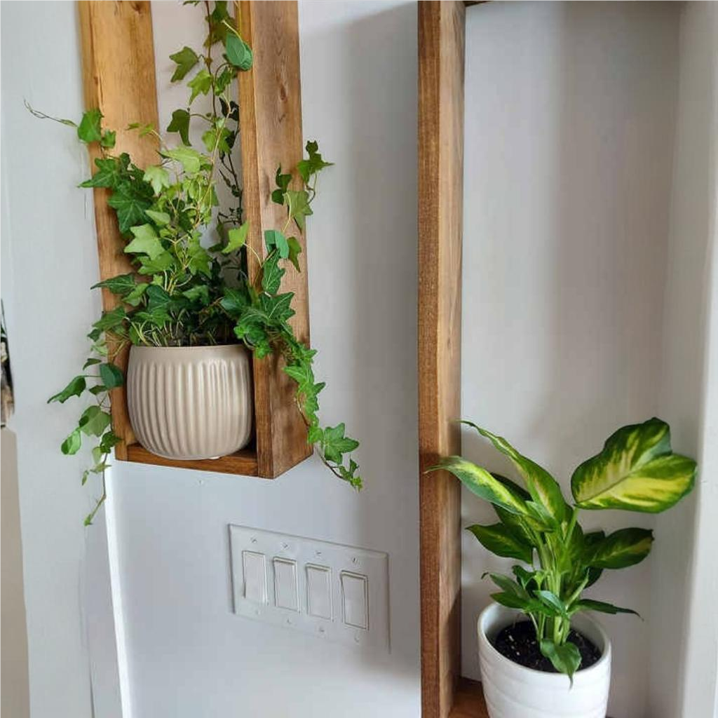 Wooden Box Shelves for Plants